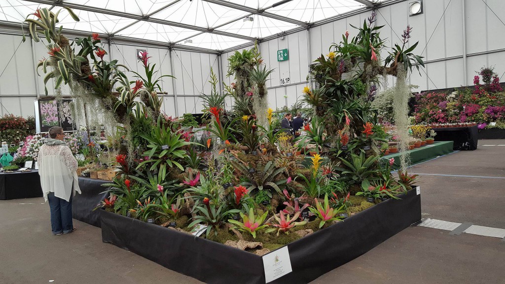 22-6-16 Tropical Garden - BBC Good food Live