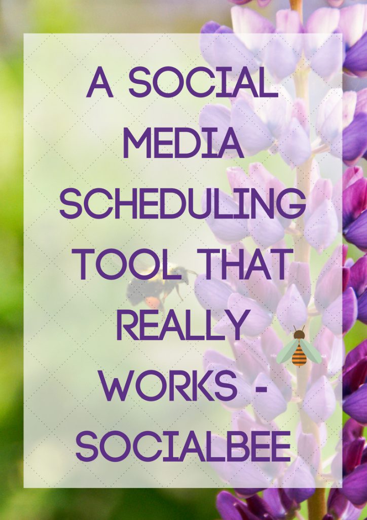 social media scheduling tool
