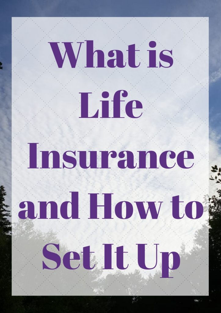 what is life insurance