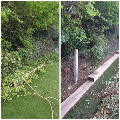 Lockdown Spending Diary Week 4 Garden Tidy Up